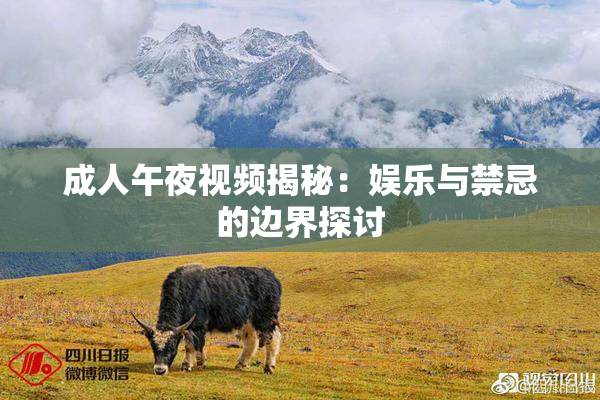 成人午夜视频揭秘：娱乐与禁忌的边界探讨