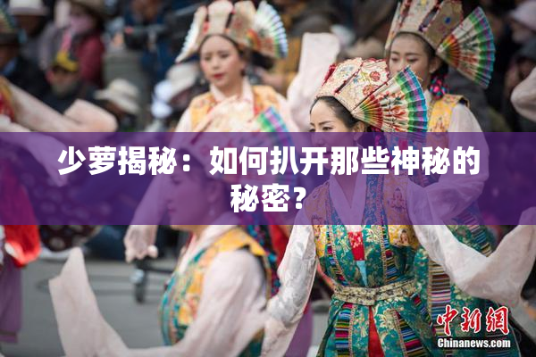 少萝揭秘：如何扒开那些神秘的秘密？