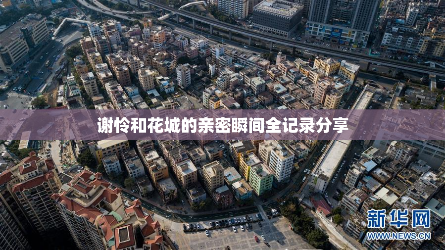 谢怜和花城的亲密瞬间全记录分享