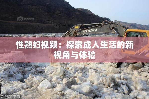 性熟妇视频：探索成人生活的新视角与体验