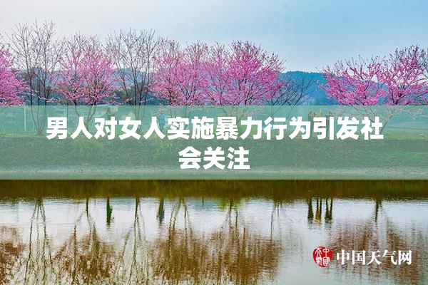 男人对女人实施暴力行为引发社会关注