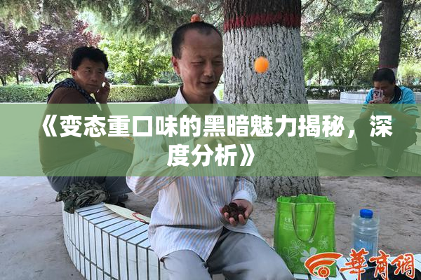 《变态重口味的黑暗魅力揭秘，深度分析》