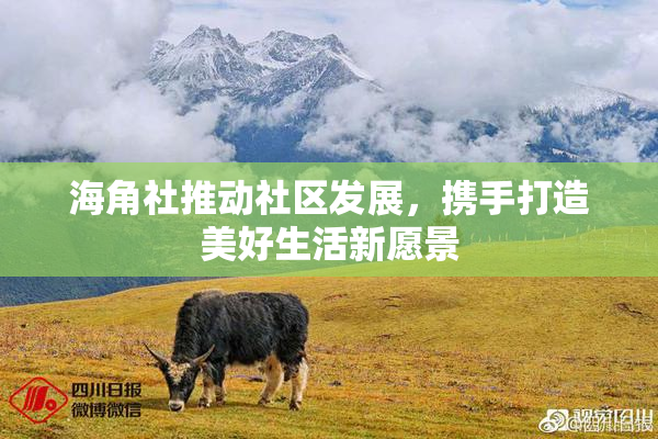 海角社推动社区发展，携手打造美好生活新愿景