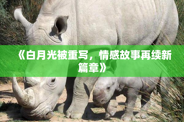 《白月光被重写，情感故事再续新篇章》