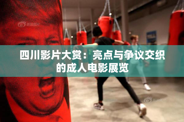 四川影片大赏：亮点与争议交织的成人电影展览