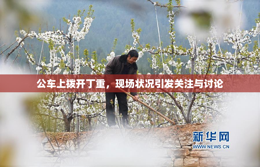 公车上拨开丁重，现场状况引发关注与讨论