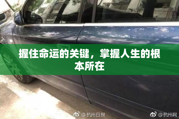 握住命运的关键，掌握人生的根本所在