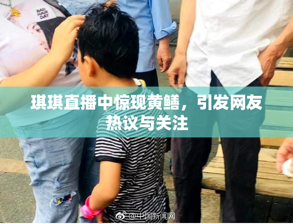 琪琪直播中惊现黄鳝，引发网友热议与关注