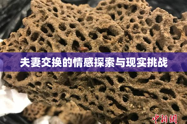夫妻交换的情感探索与现实挑战