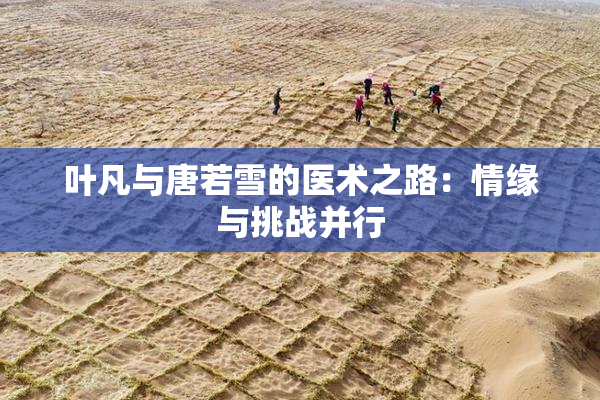 叶凡与唐若雪的医术之路：情缘与挑战并行