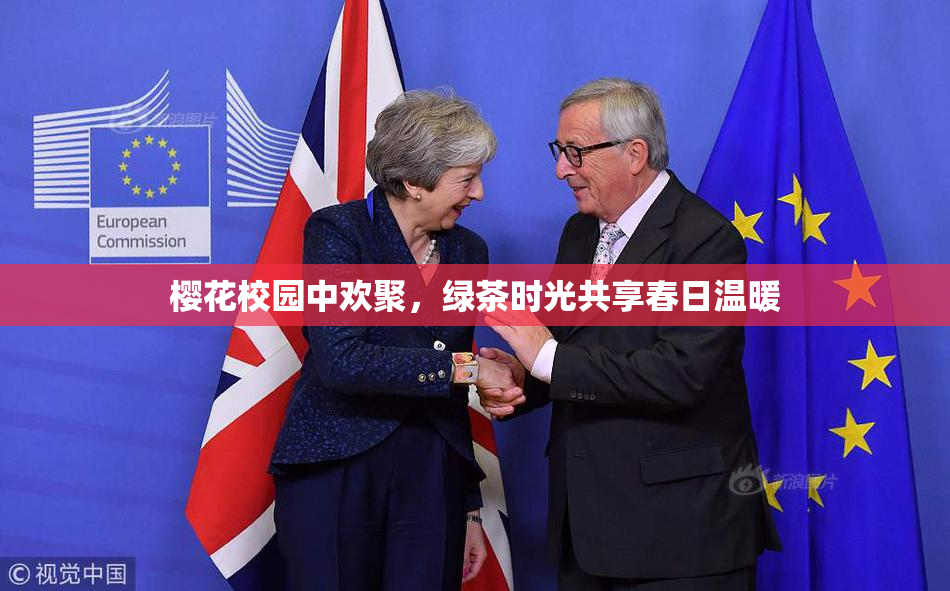 樱花校园中欢聚，绿茶时光共享春日温暖