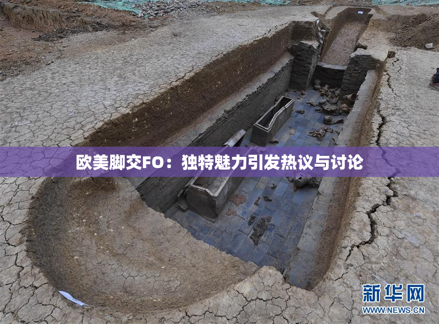 欧美脚交FO：独特魅力引发热议与讨论