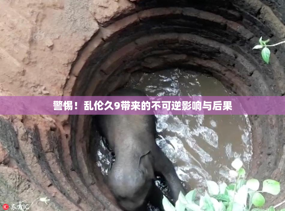 警惕！乱伦久9带来的不可逆影响与后果