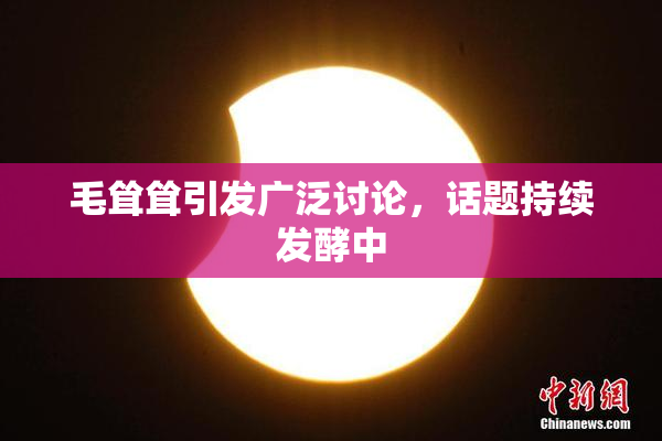 毛耸耸引发广泛讨论，话题持续发酵中