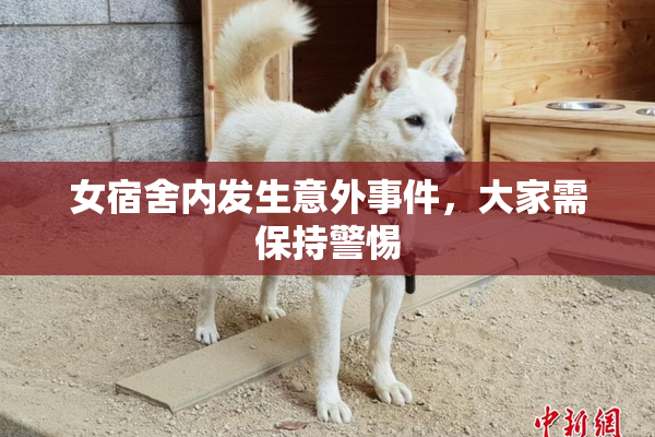 女宿舍内发生意外事件，大家需保持警惕