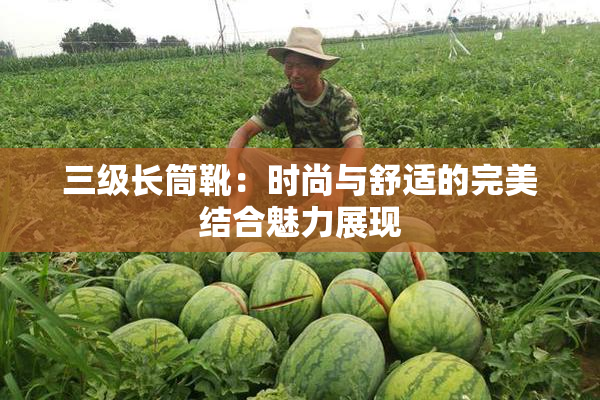 三级长筒靴：时尚与舒适的完美结合魅力展现