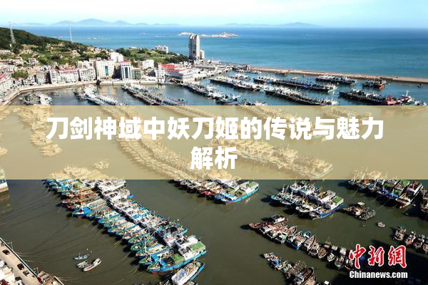 刀剑神域中妖刀姬的传说与魅力解析