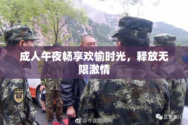 成人午夜畅享欢愉时光，释放无限激情