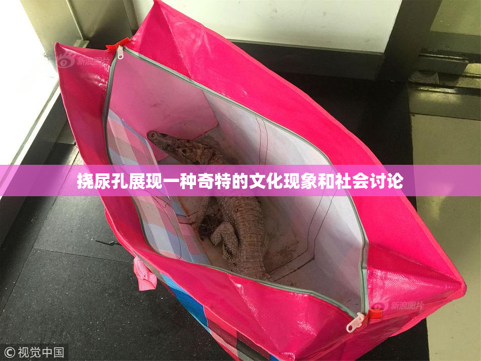 挠尿孔展现一种奇特的文化现象和社会讨论