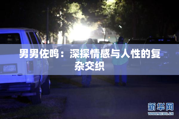 男男佐鸣：深探情感与人性的复杂交织