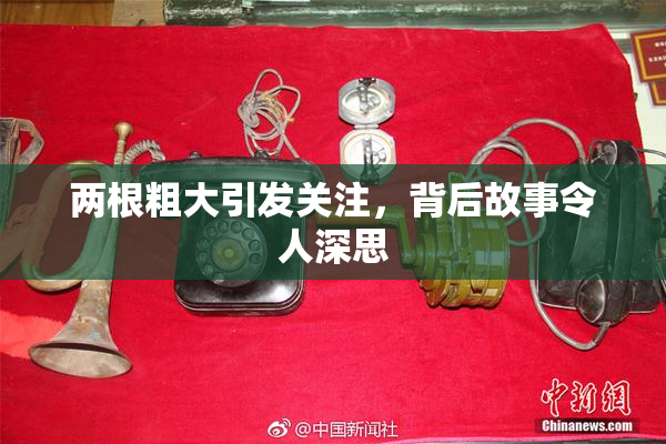 两根粗大引发关注，背后故事令人深思