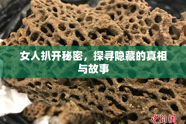 女人扒开秘密，探寻隐藏的真相与故事