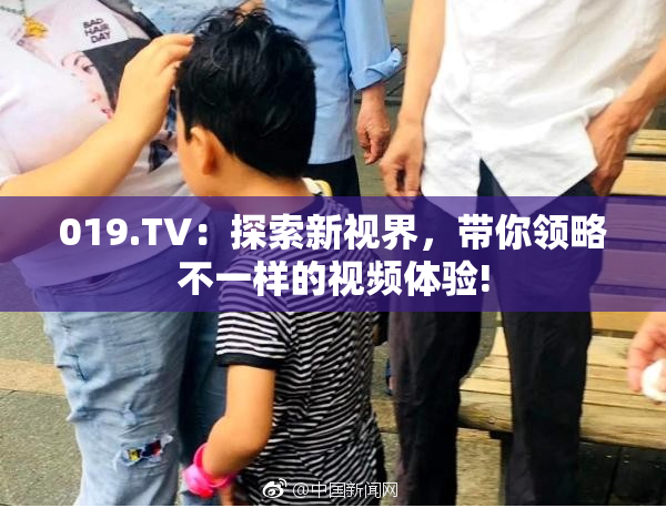 019.TV：探索新视界，带你领略不一样的视频体验!