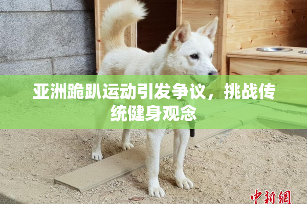 亚洲跪趴运动引发争议，挑战传统健身观念