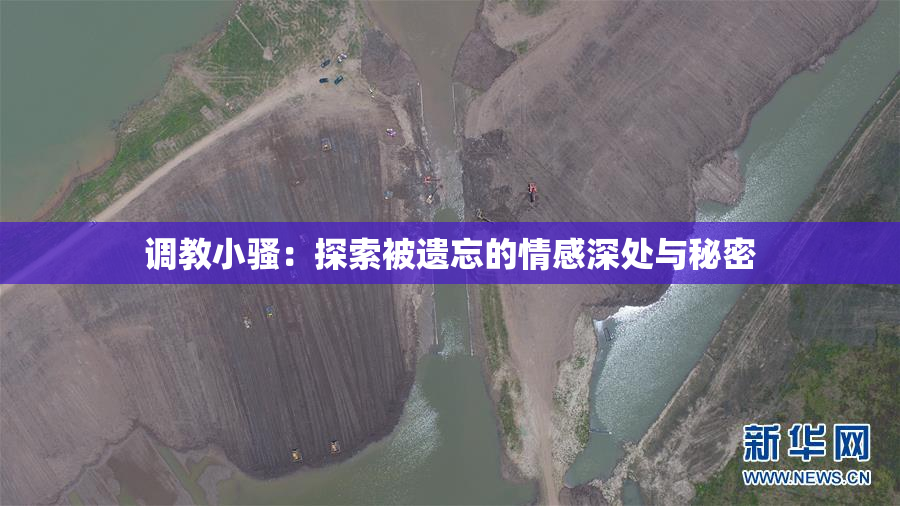 调教小骚：探索被遗忘的情感深处与秘密