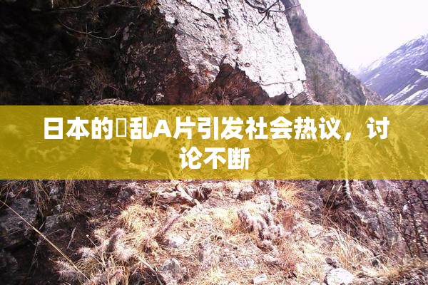 日本的婬乱A片引发社会热议，讨论不断