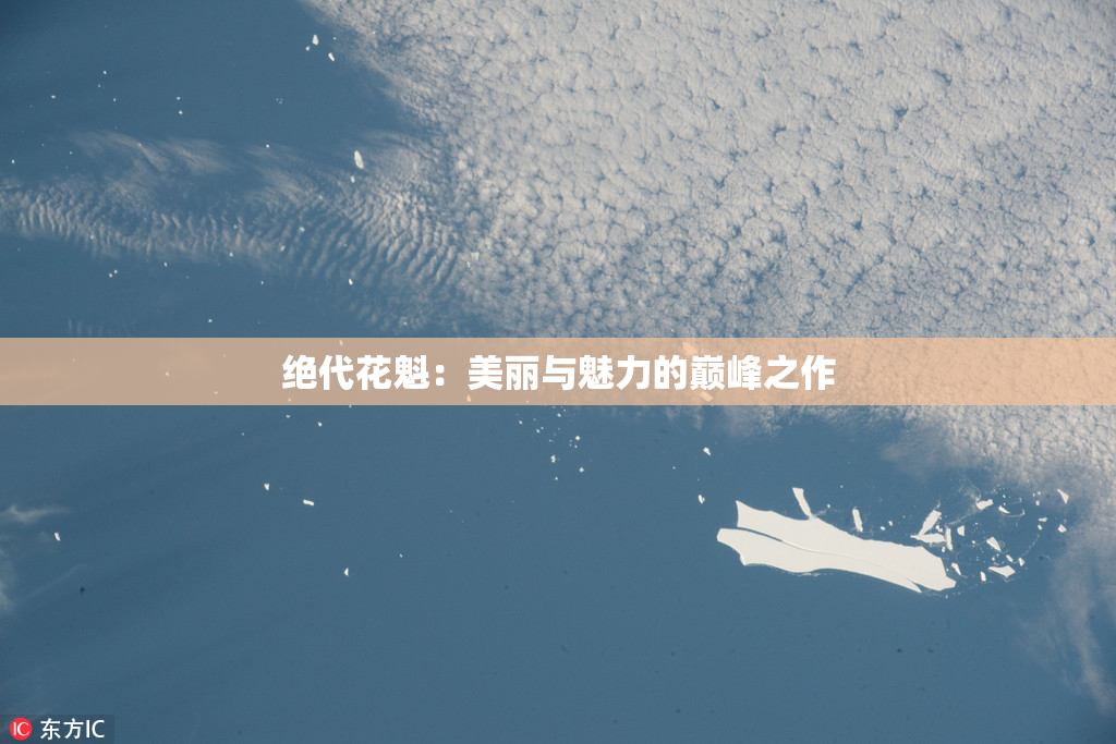 绝代花魁：美丽与魅力的巅峰之作