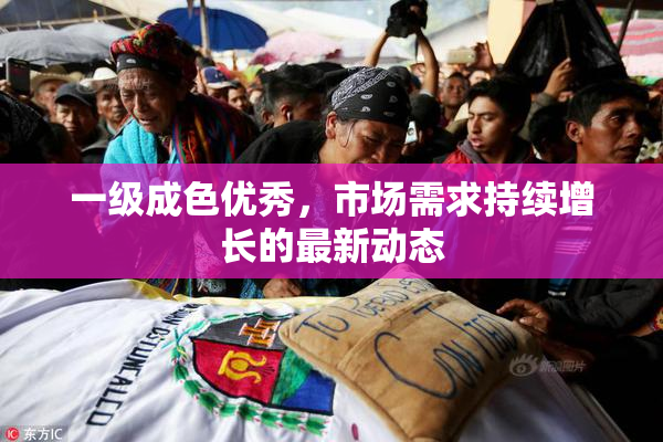 一级成色优秀，市场需求持续增长的最新动态