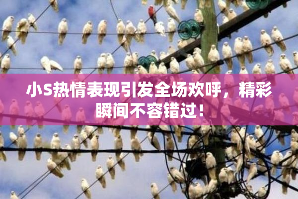 小S热情表现引发全场欢呼，精彩瞬间不容错过！