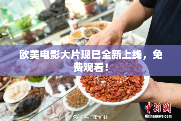 欧美电影大片现已全新上线，免费观看！