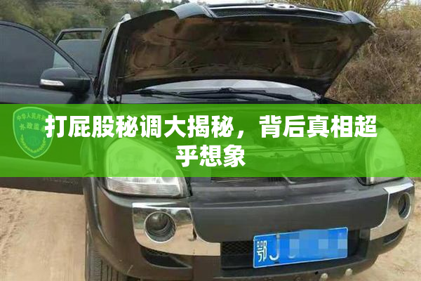 打屁股秘调大揭秘，背后真相超乎想象