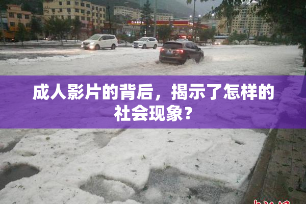 成人影片的背后，揭示了怎样的社会现象？