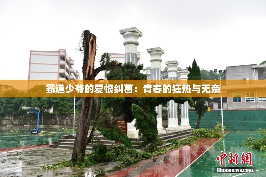 霸道少爷的爱恨纠葛：青春的狂热与无奈