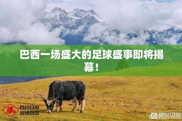 巴西一场盛大的足球盛事即将揭幕！