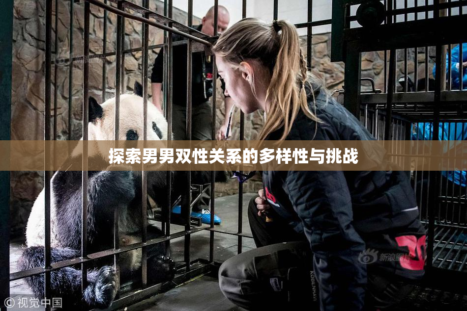 探索男男双性关系的多样性与挑战