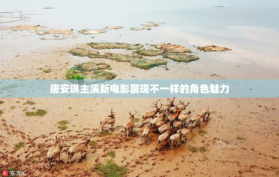 唐安琪主演新电影展现不一样的角色魅力