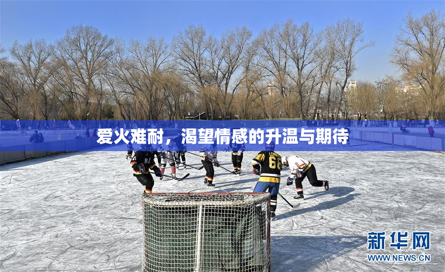 爱火难耐，渴望情感的升温与期待