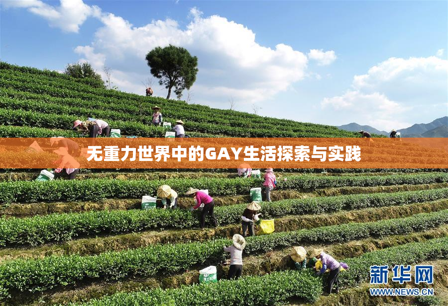 无重力世界中的GAY生活探索与实践