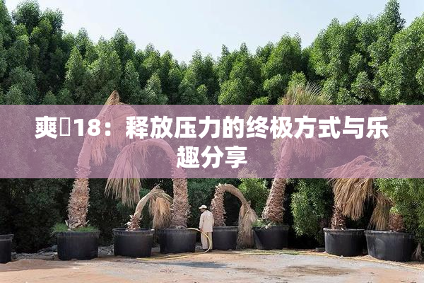 爽擼18：释放压力的终极方式与乐趣分享