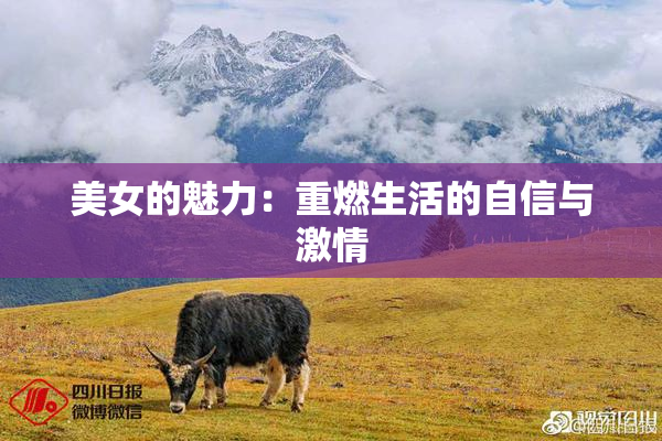 美女的魅力：重燃生活的自信与激情