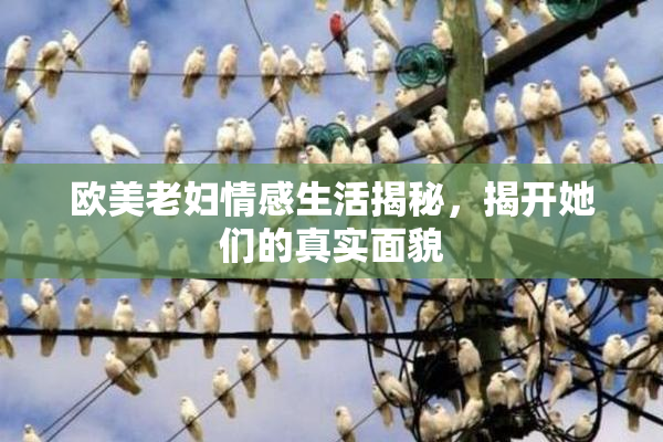 欧美老妇情感生活揭秘，揭开她们的真实面貌