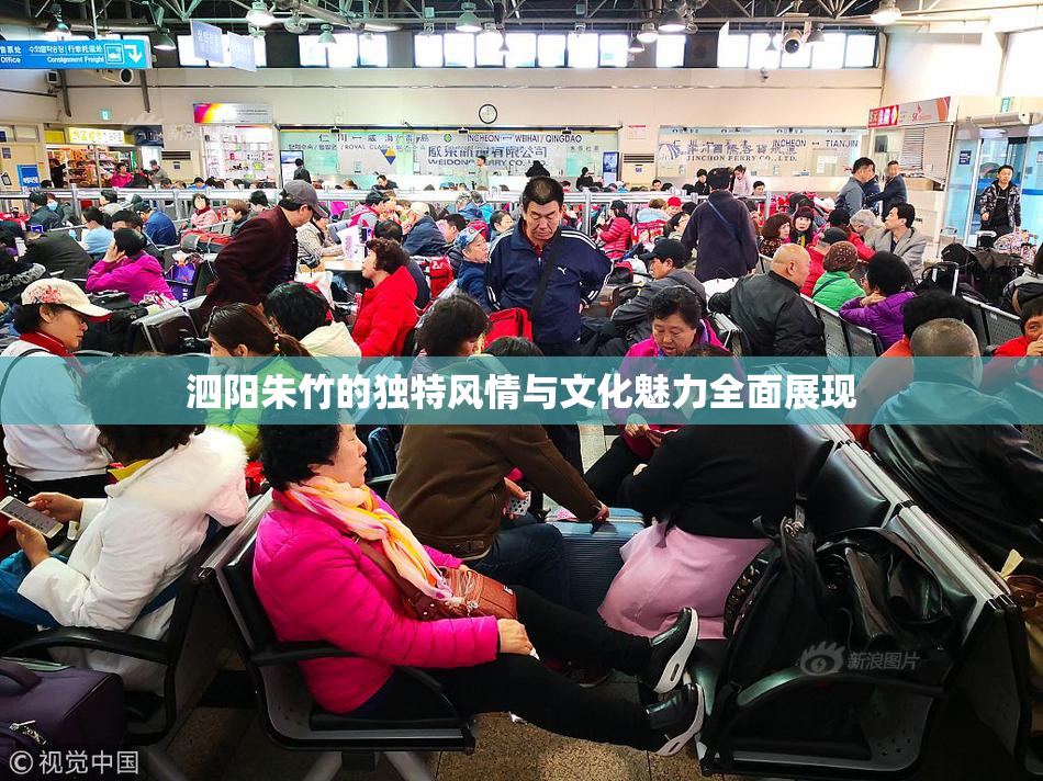 泗阳朱竹的独特风情与文化魅力全面展现