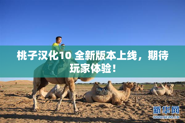 桃子汉化10 全新版本上线，期待玩家体验！