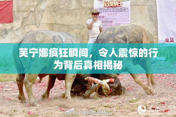 芙宁娜疯狂瞬间，令人震惊的行为背后真相揭秘