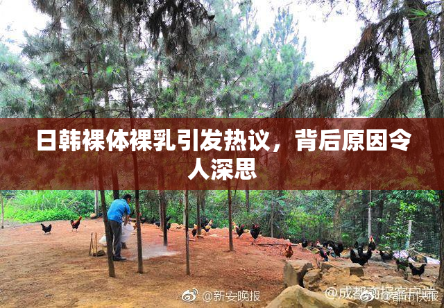日韩裸体裸乳引发热议，背后原因令人深思