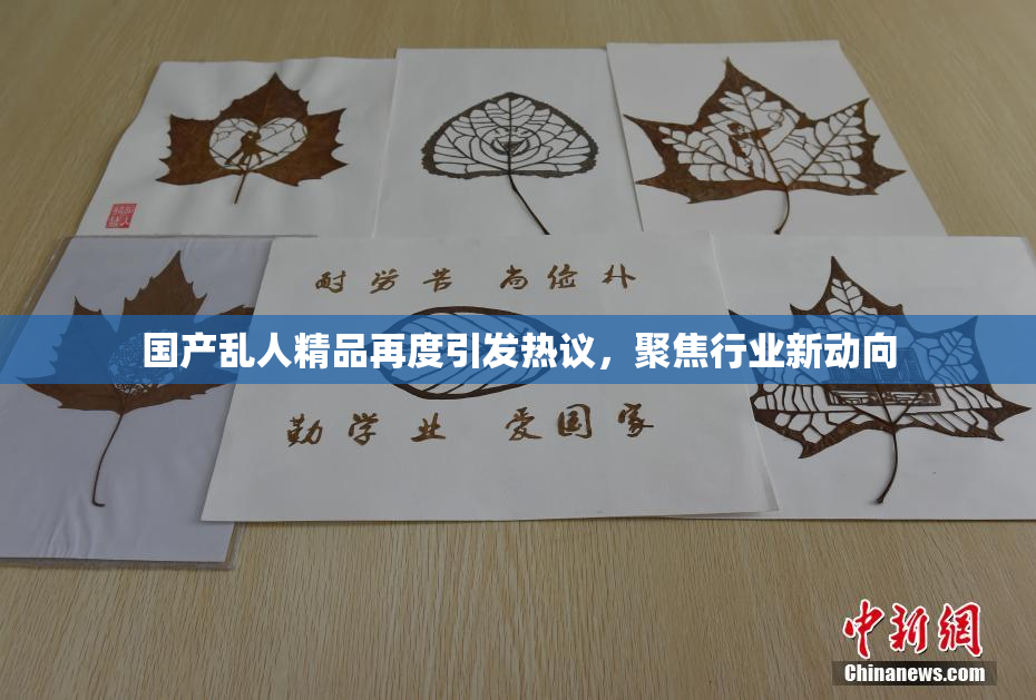 国产乱人精品再度引发热议，聚焦行业新动向
